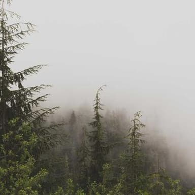 Foto de Andrés Silva, CFO / Economics